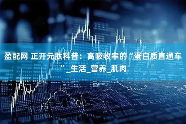 盈配网 正开元肽科普：高吸收率的“蛋白质直通车”_生活_营养_肌肉